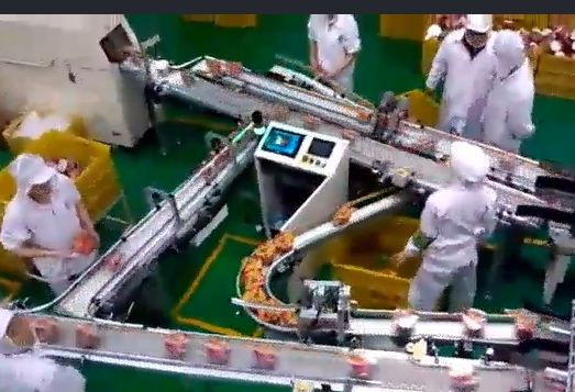 當(dāng)輸送帶出現(xiàn)跑偏后，怎么辦？